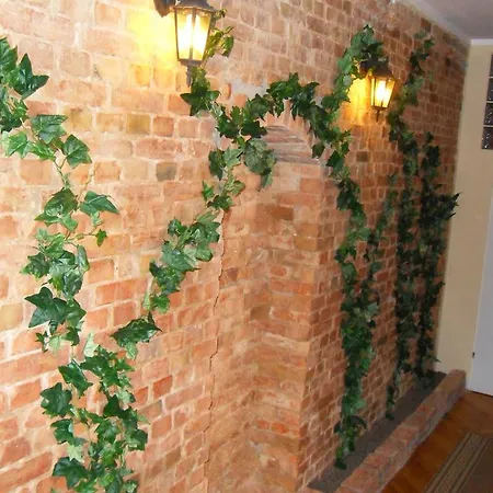 Apartment Mtp *